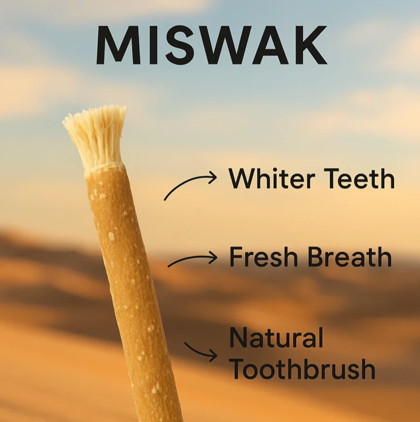 Organic Toothbrush - Miswak